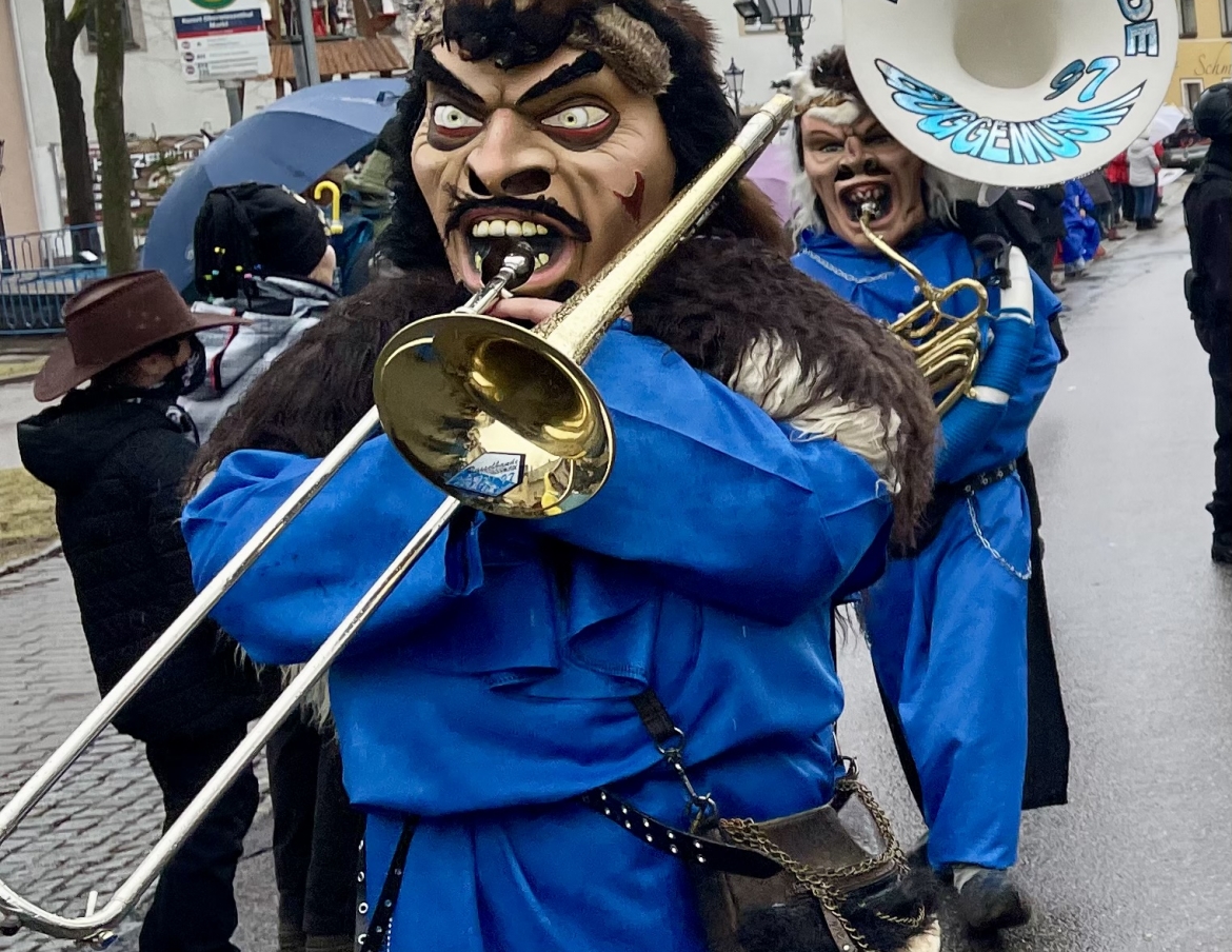 Skifasching24_wms