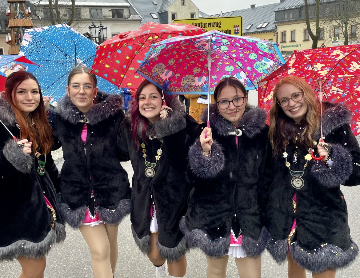 Skifasching24_wms