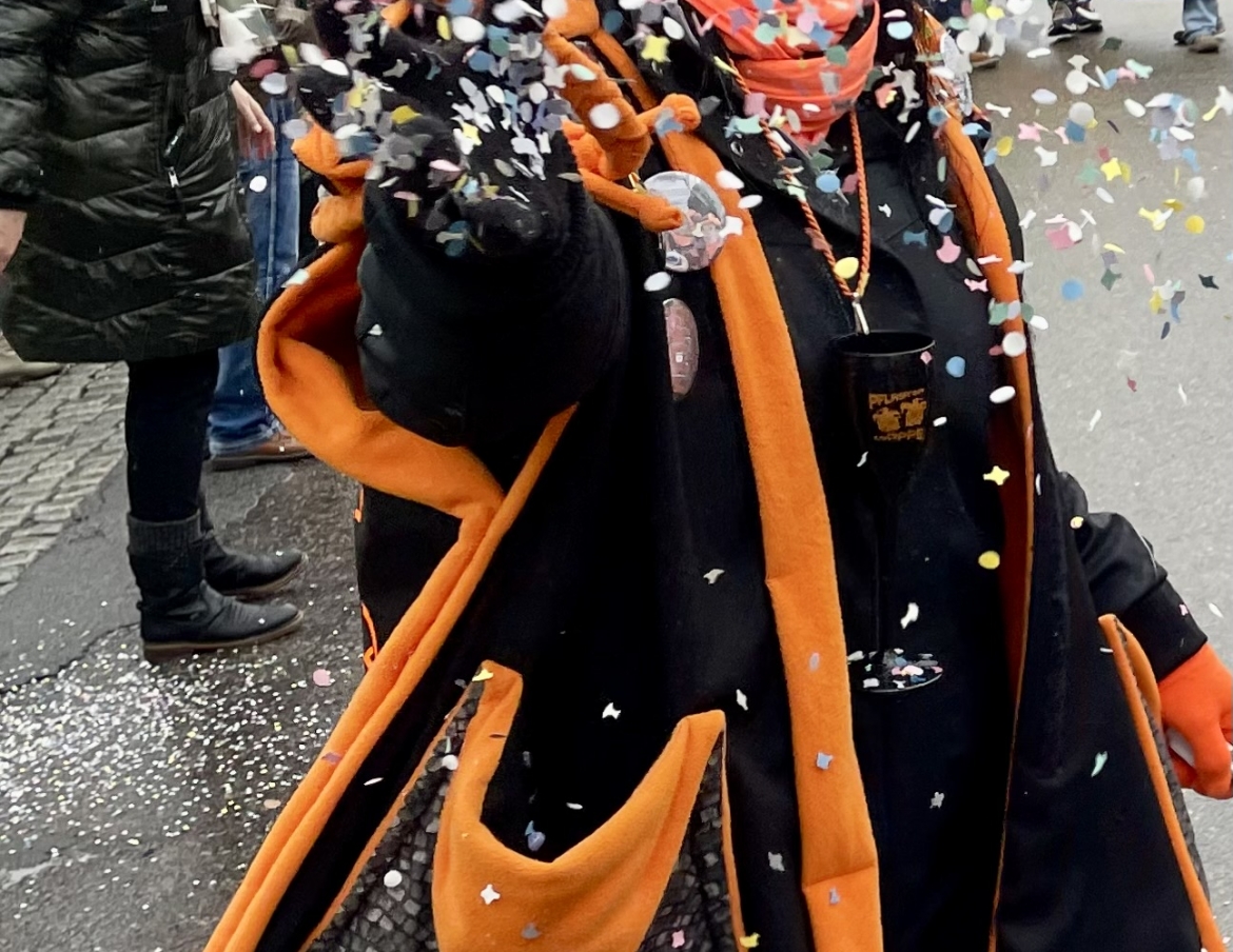 Skifasching24_wms