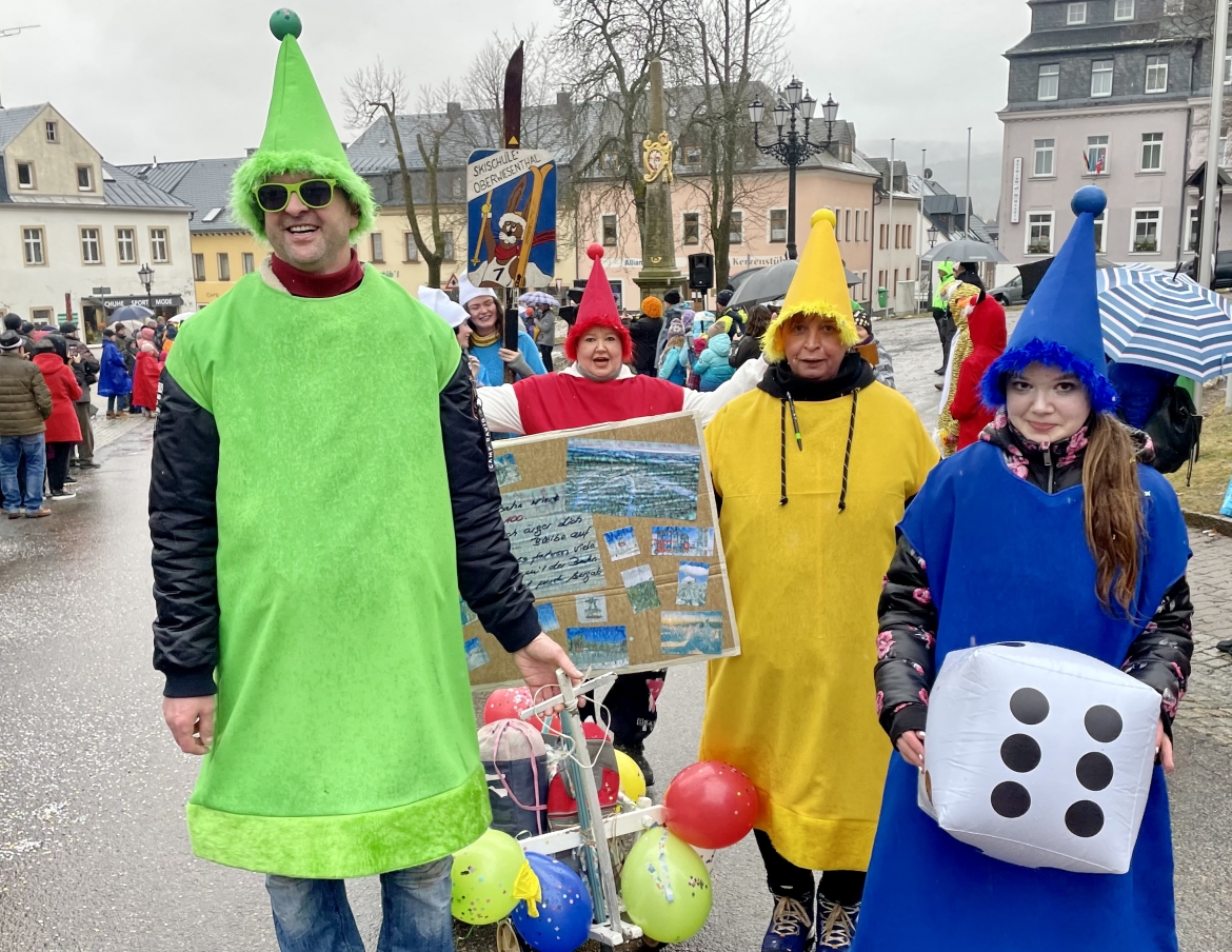 Skifasching24_wms